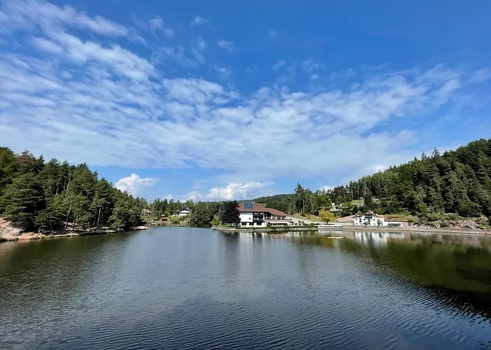 Luxury hotel only: Hotel Am Wolfgrubenersee